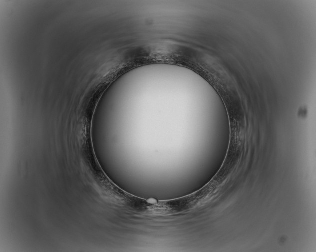 X0000098120603200804041410