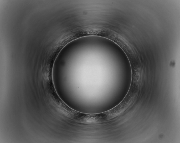 X0000098120604200804041410
