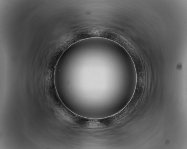 X0000098120605200804041410