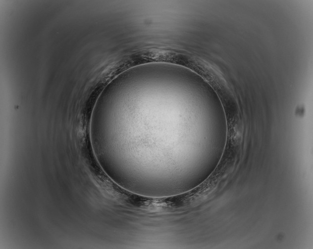 X0000098120607200804041410