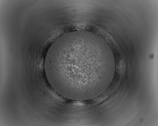 X0000098120610200804041410