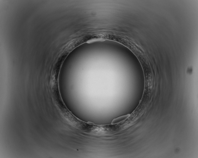 X0000098120611200804041410