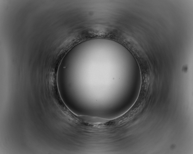 X0000098120612200804041410