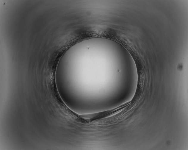 X0000098120613200804041410