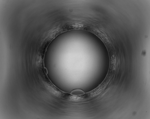 X0000098120614200804041410