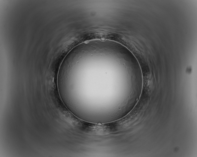 X0000098120615200804041410