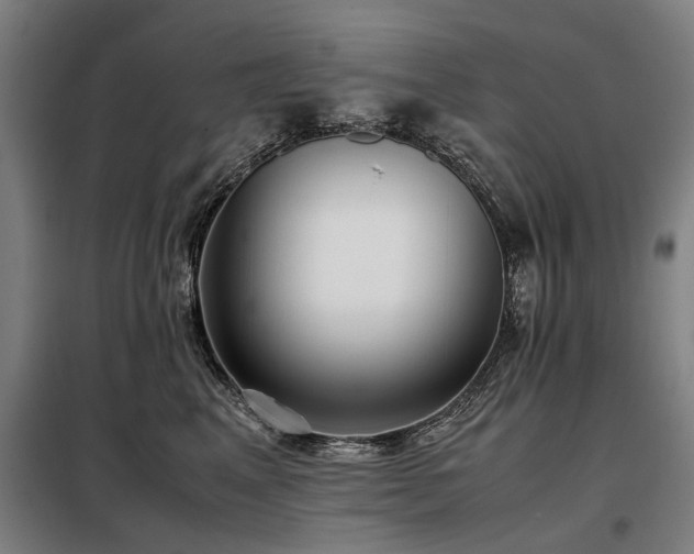 X0000098120617200804041410