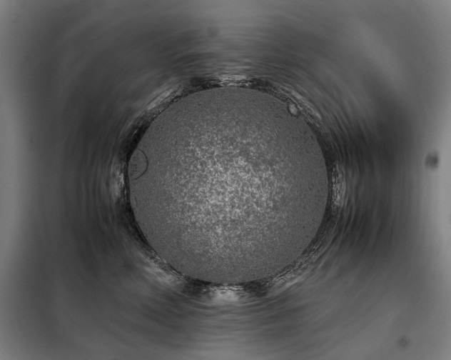 X0000098120618200804041410
