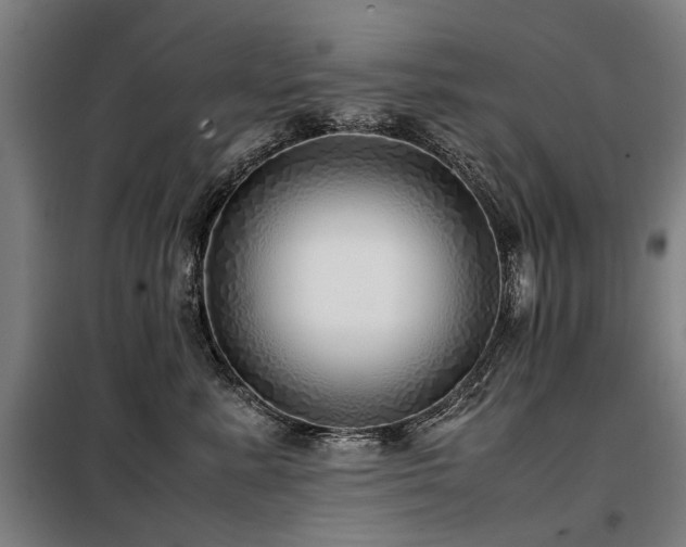 X0000098120619200804041409