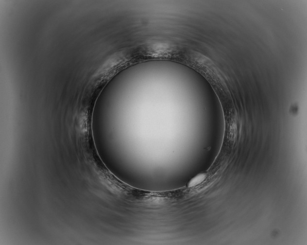 X0000098120620200804041409