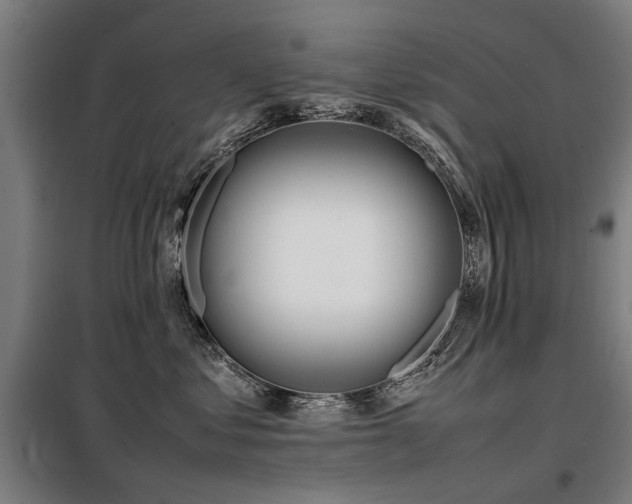 X0000098120621200804041409