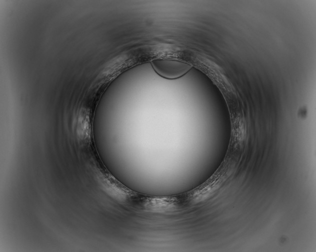 X0000098120622200804041409