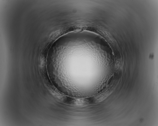 X0000098120623200804041409