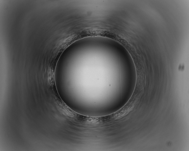 X0000098120624200804041409