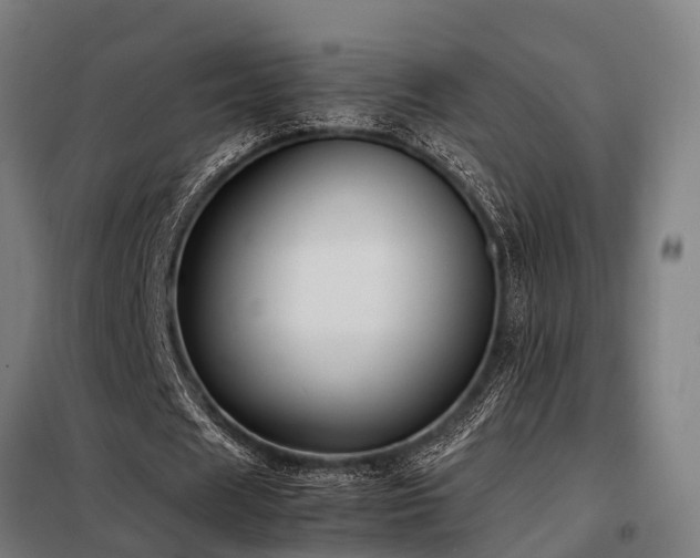 X0000098120625200804041409