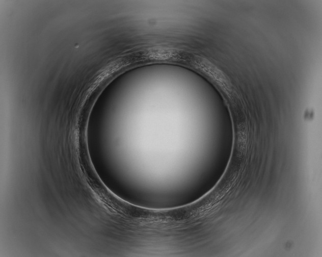 X0000098120626200804041409