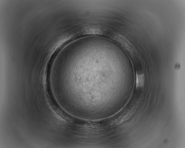 X0000098120627200804041409
