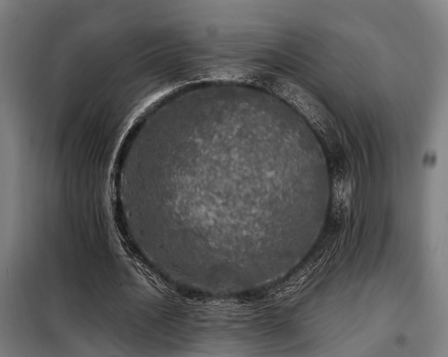 X0000098120628200804041409