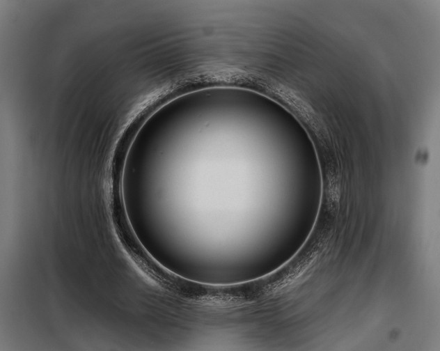 X0000098120630200804041409