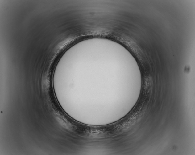 X0000098120632200804041409