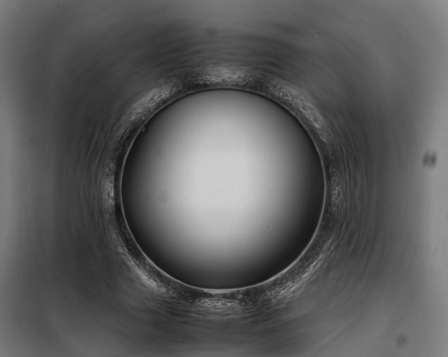 X0000098120633200804041409