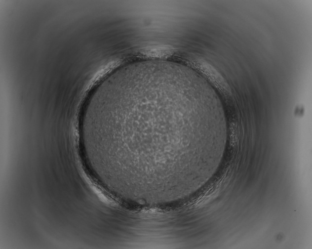 X0000098120634200804041409