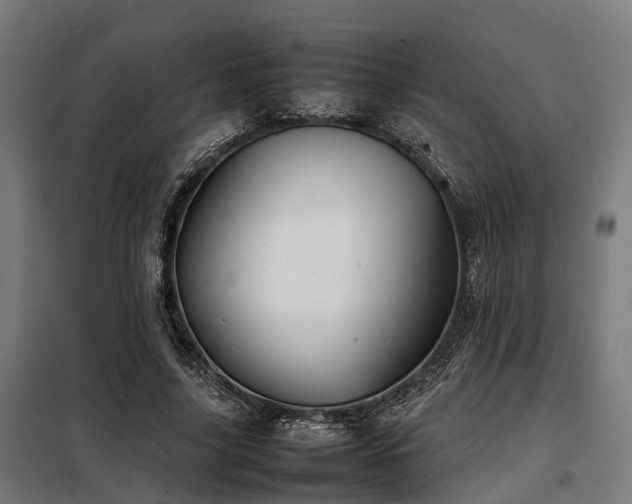 X0000098120635200804041409
