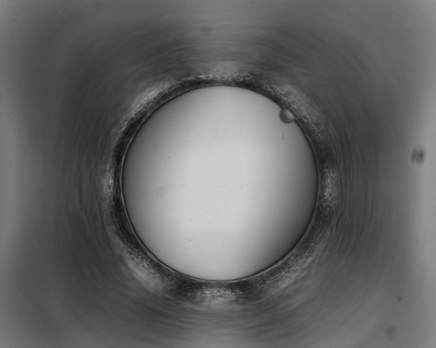 X0000098120636200804041409
