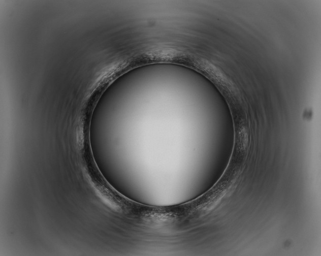 X0000098120638200804041409