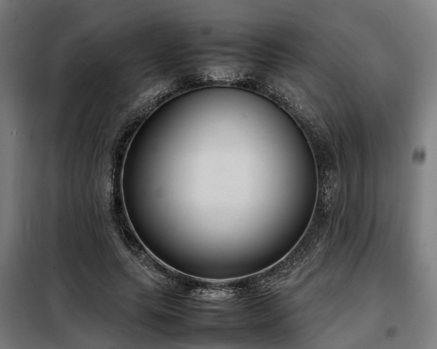 X0000098120639200804041409