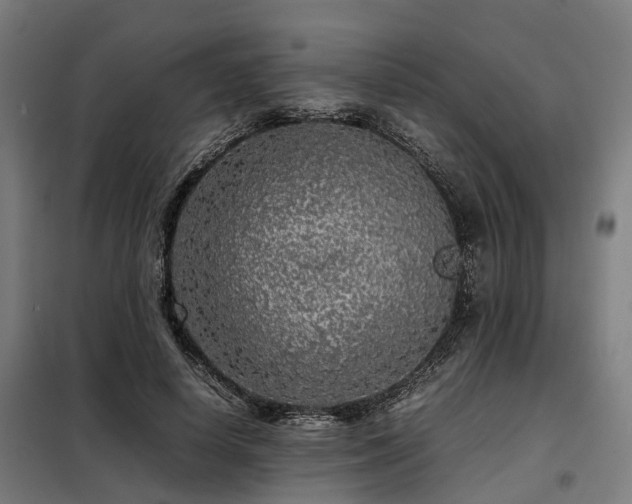 X0000098120642200804041409