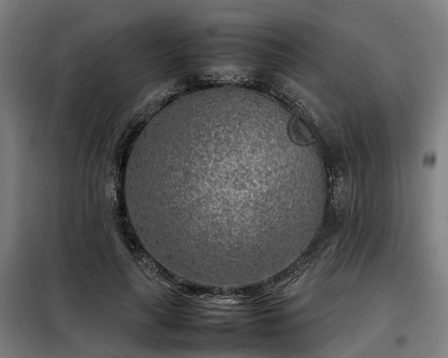 X0000098120643200804041409