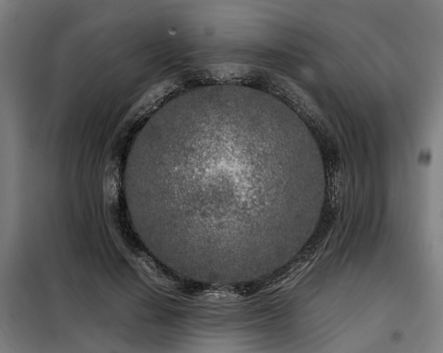 X0000098120644200804041409