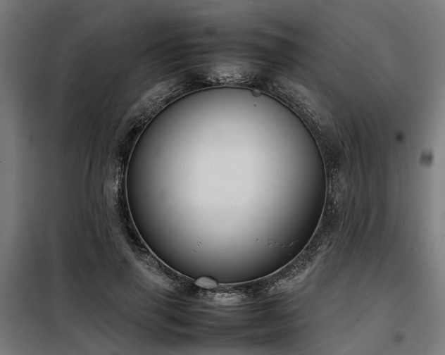 X0000098120645200804041409