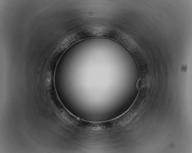 X0000098120646200804041409