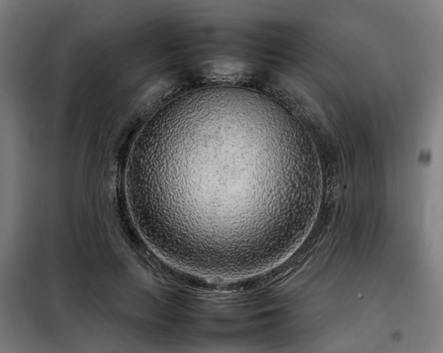X0000098120647200804041409