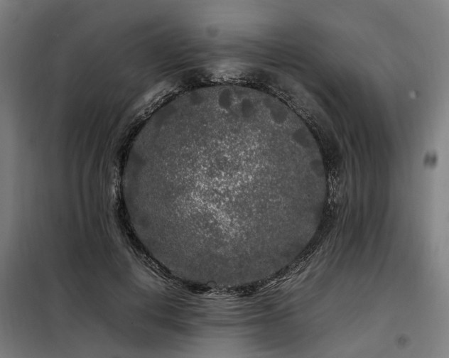 X0000098120648200804041409