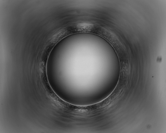 X0000098120649200804041409