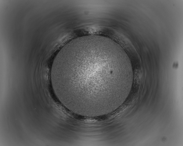 X0000098120650200804041409
