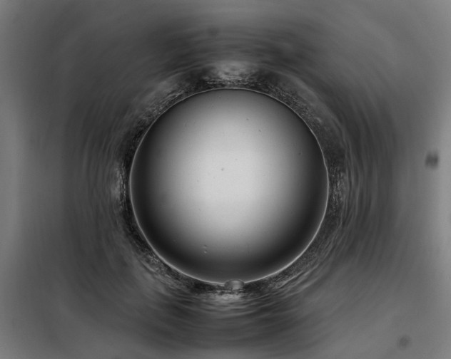 X0000098120651200804041409