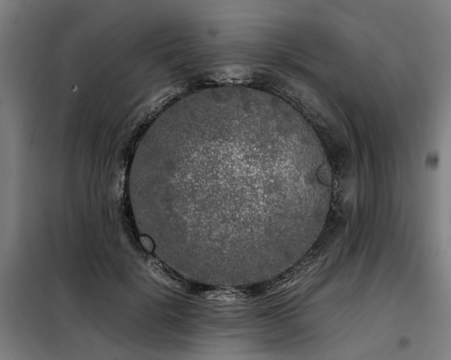 X0000098120652200804041409