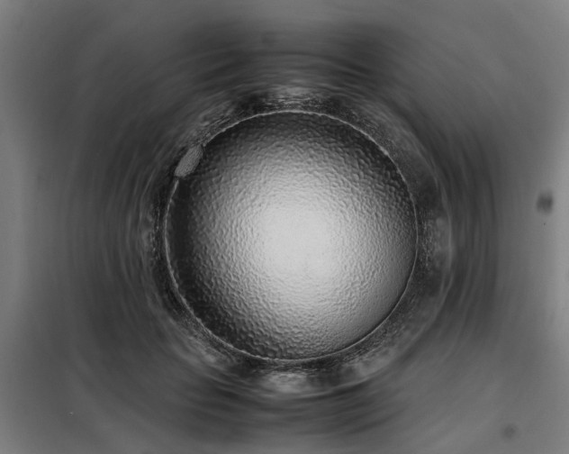 X0000098120653200804041409