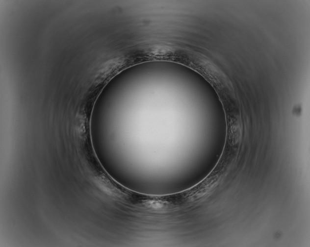 X0000098120654200804041409