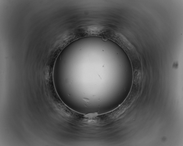 X0000098120655200804041409