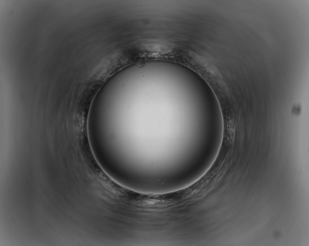 X0000098120657200804041409
