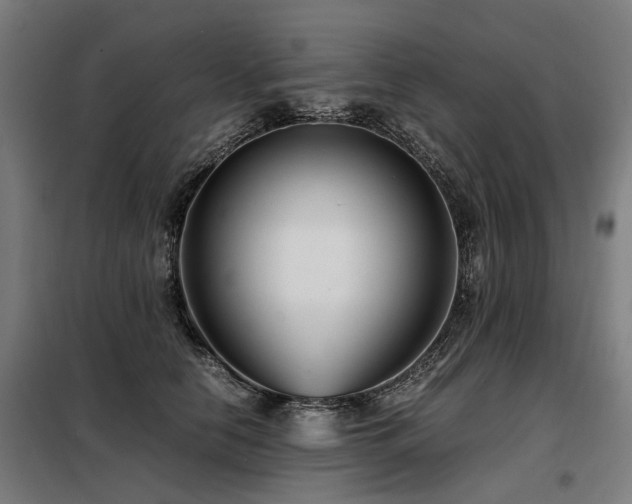 X0000098120658200804041409