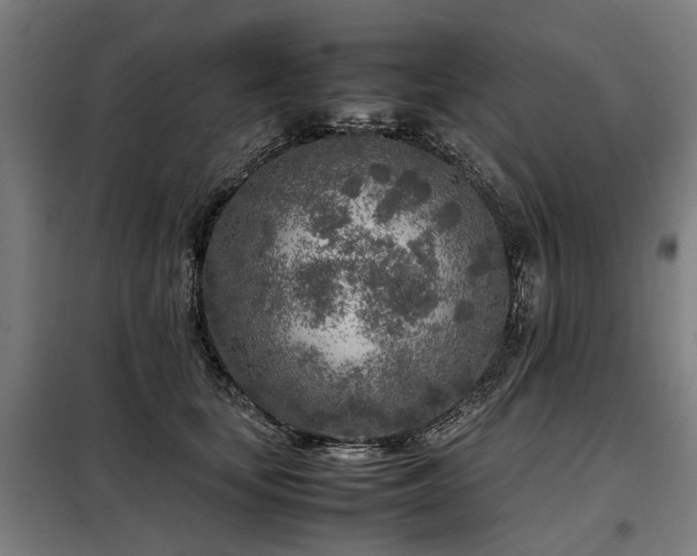 X0000098120659200804041409