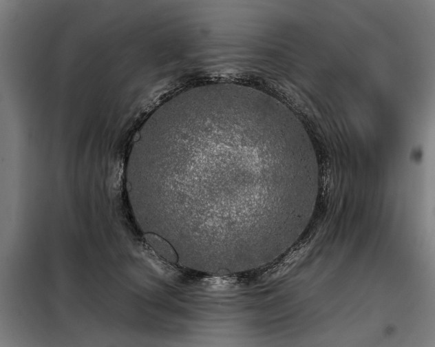 X0000098120660200804041409