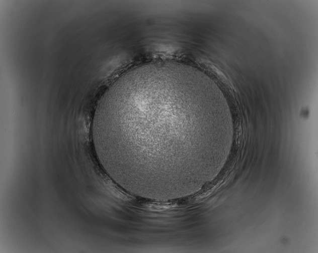 X0000098120661200804041409