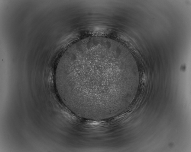 X0000098120663200804041409